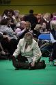 Crufts2011_2 972